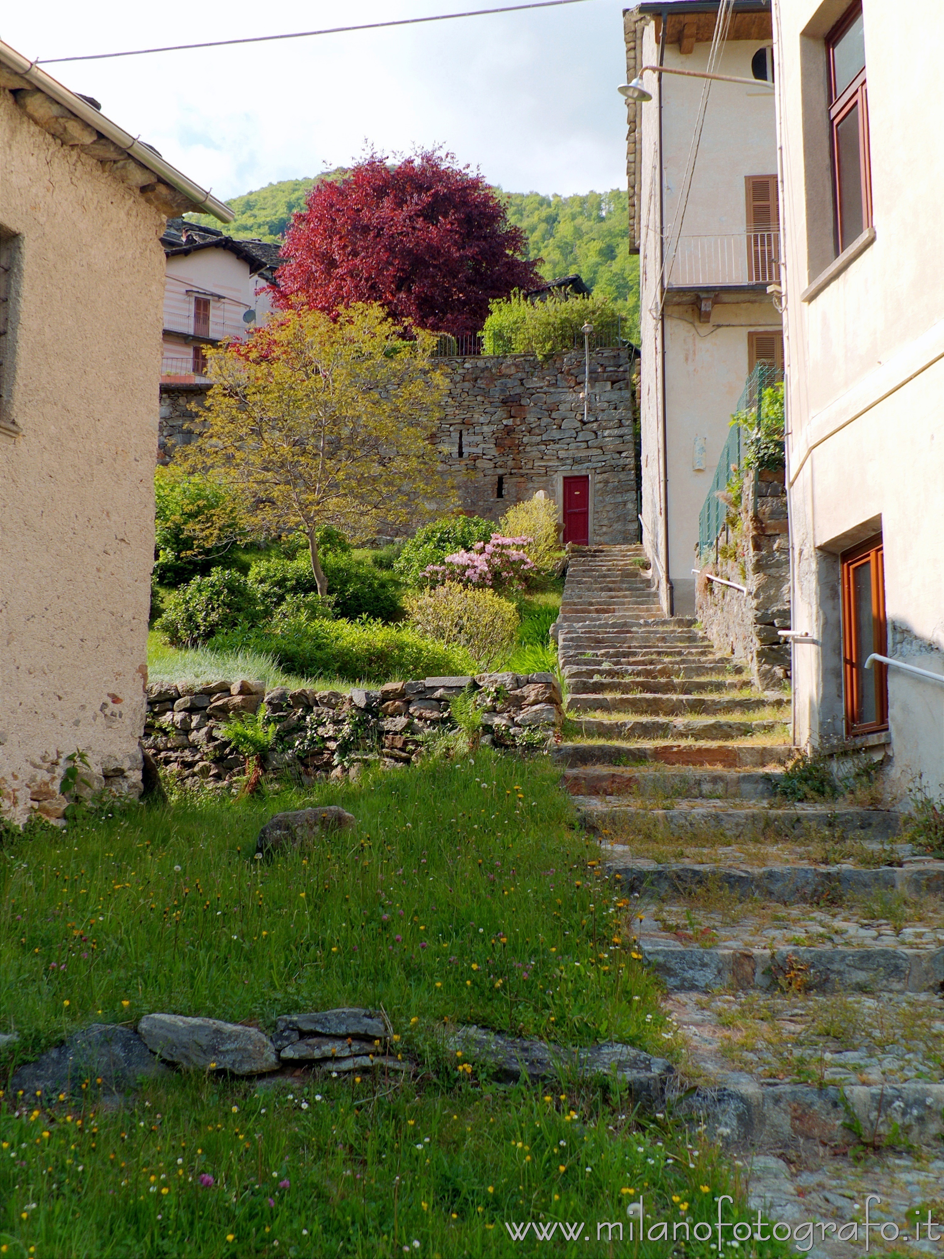 Piedicavallo (Biella) - Colori primaverili nel paese nella frazione Montesinaro